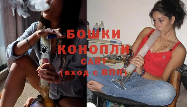 молекула духа Аркадак
