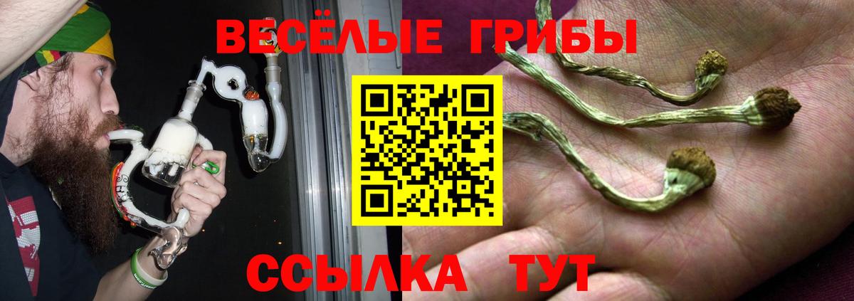 Галлюциногенные грибы Psilocybe Котельники